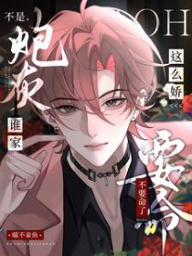 禁书重写：新金瓶梅