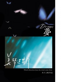 被心理医生抓进精神病院以后（暗黑NPH）