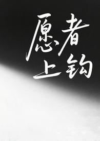当毒唯能挽回顶流前妻哥吗